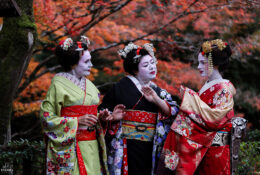 Japan_Autumn_2025 (34/47)